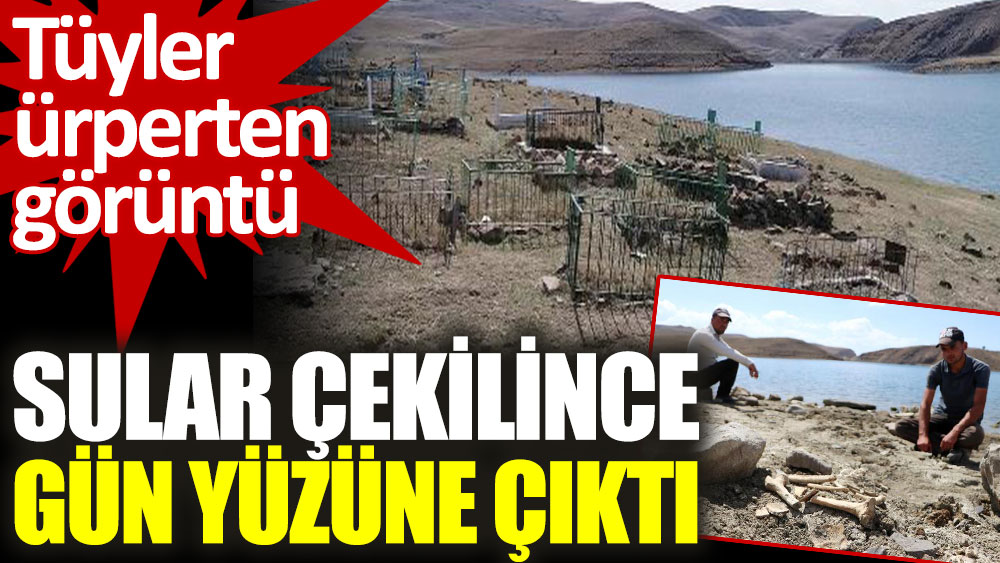 Erzurum'da tüyler ürperten görüntü sular çekilince ortaya çıktı