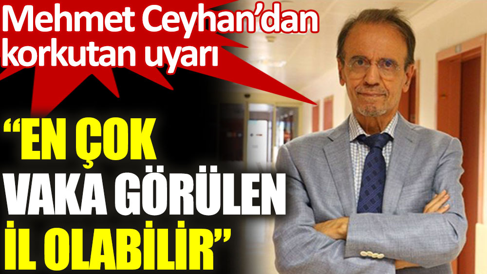 Mehmet Ceyhan: 1-2 hafta sonra en çok vaka görülen il olabilir