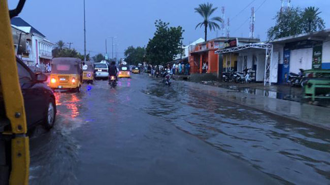 Nijerya'da sel felaketi: 15 ölü