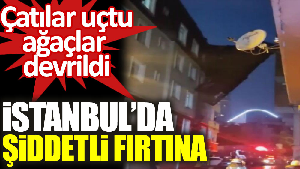 İstanbul'da fırtına çatıları uçurdu, ağaçları devirdi