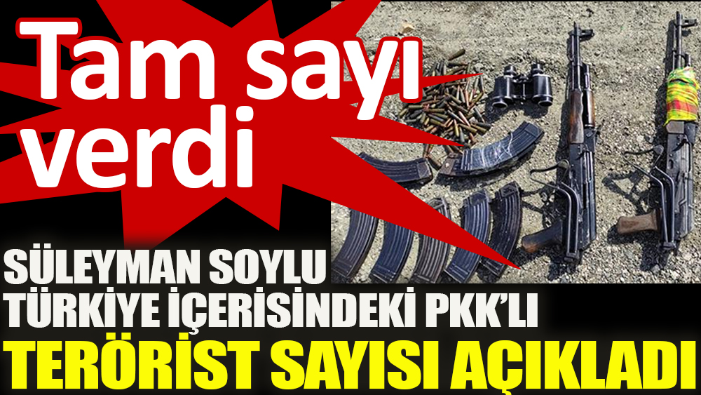 Soylu Türkiye içerisindeki PKK’lı terörist sayısı açıkladı