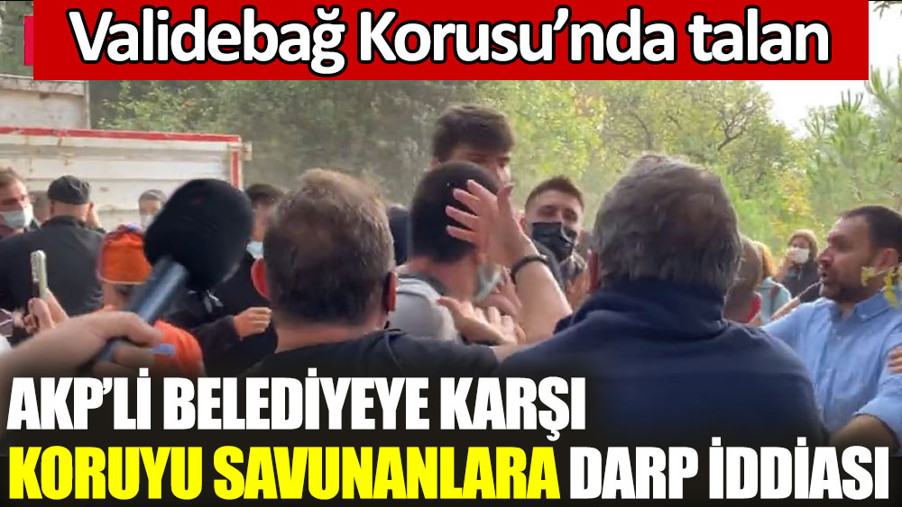 Validebağ Korusu’nda talan. AKP’li Belediyeye karşı koruyu savunanlara darp iddiası