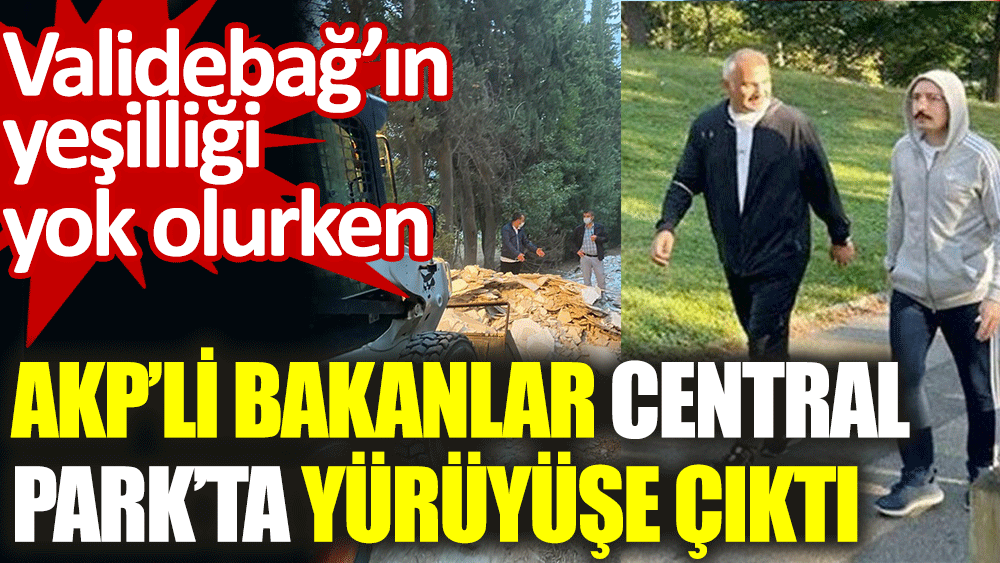 Validebağ'ın yeşilliği yok olurken AKP'li bakanlar Central Park'ta yürüyüşte