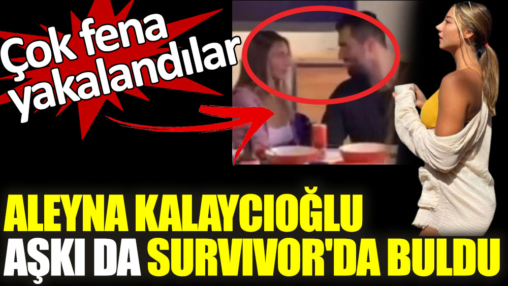 Aleyna Kalaycıoğlu aşkı da Survivor'dan buldu