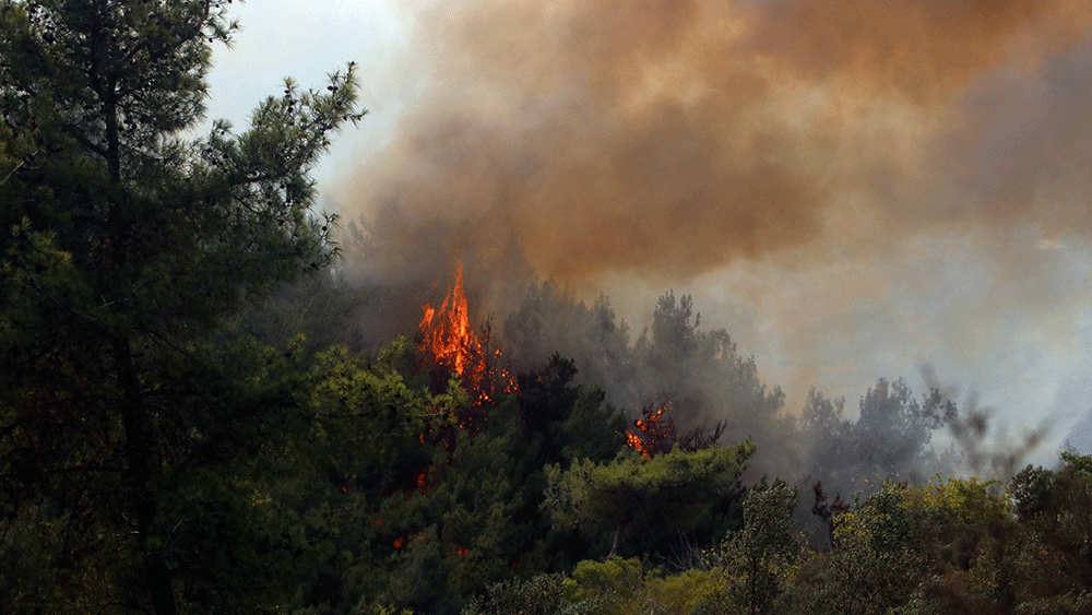 PKK'lı teröristten orman yangınlarıyla ilgili itiraf