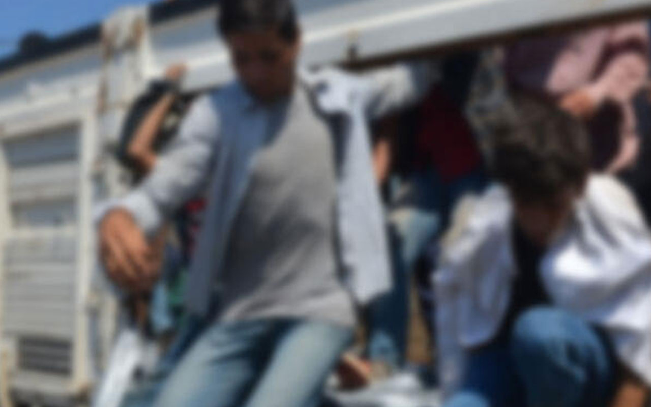 Kırklareli'de 11 kaçak göçmen yakalandı