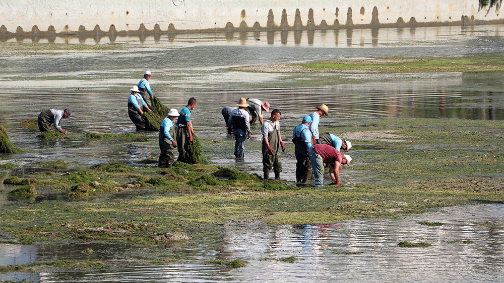Seyhan Nehri'nde dip temizliği