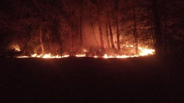 Hatay'daki orman yangını söndürüldü
