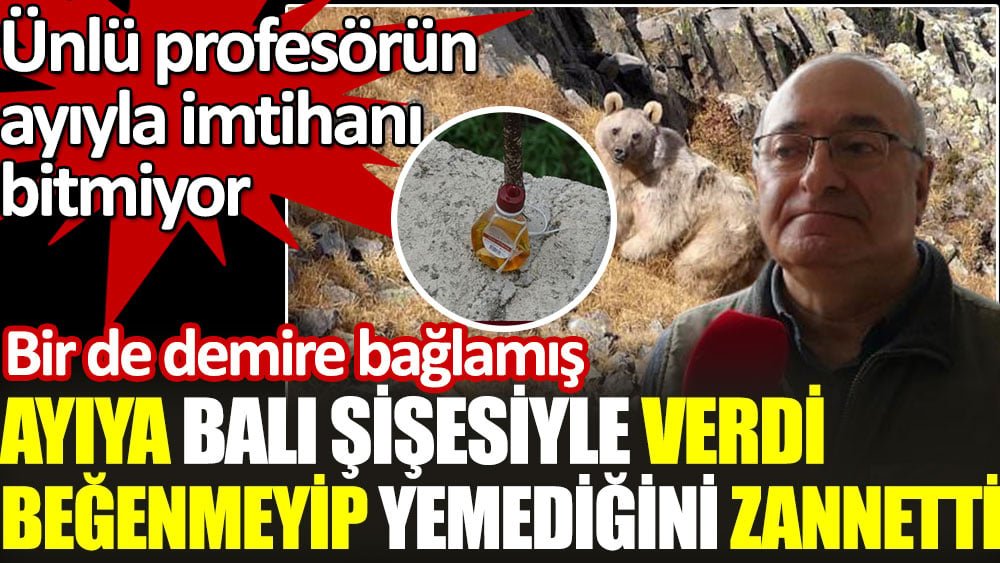 Profesörün boz ayıyla olan tatlı savaşı bitmiyor