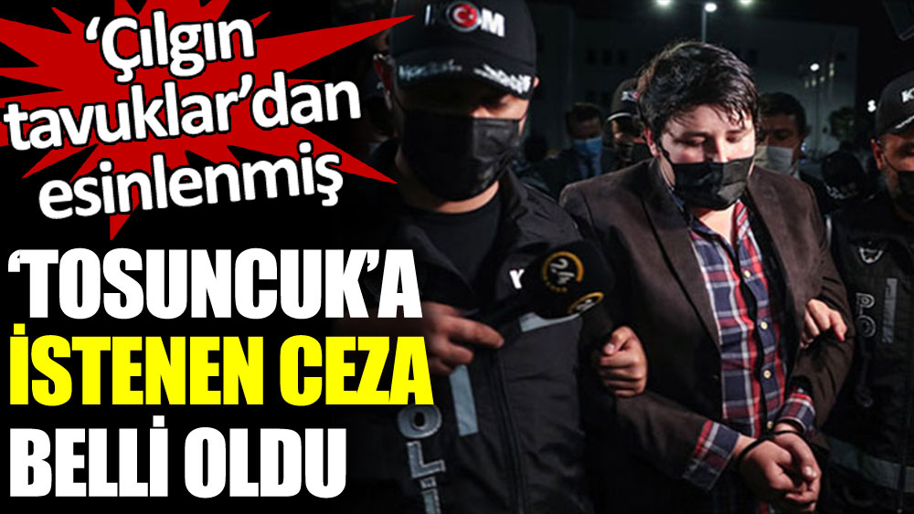 'Tosuncuk' Mehmet Aydın'a istenen ceza belli oldu