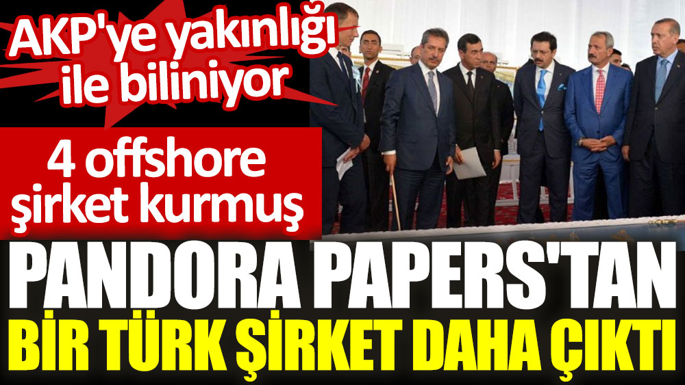 Pandora Papers'tan bir Türk şirket daha çıktı. 4 offshore şirket kurmuş