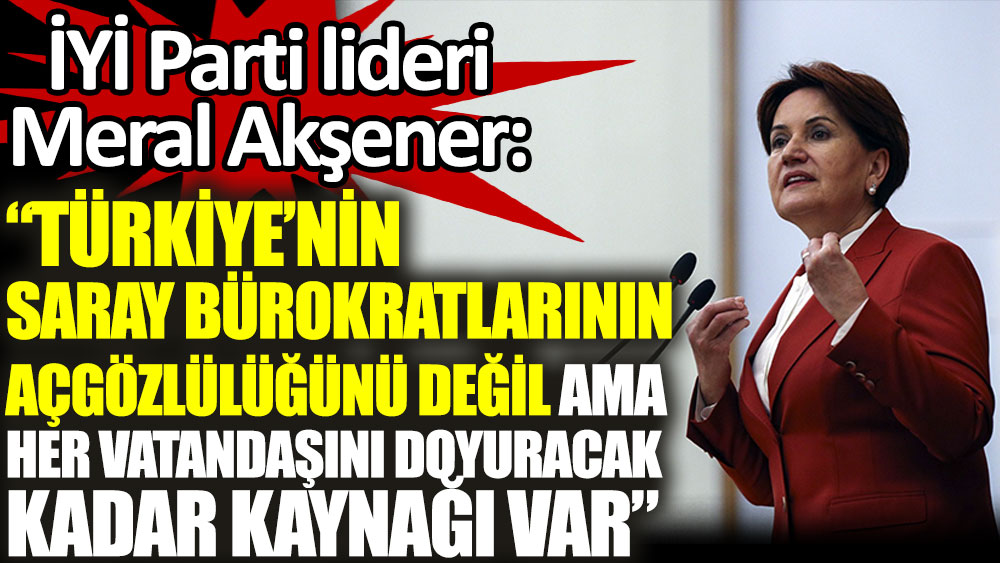 Meral Akşener: Türkiye Saray bürokratlarını doyuracak kadar değil ama her vatandaşını doyuracak kadar kaynağa sahip