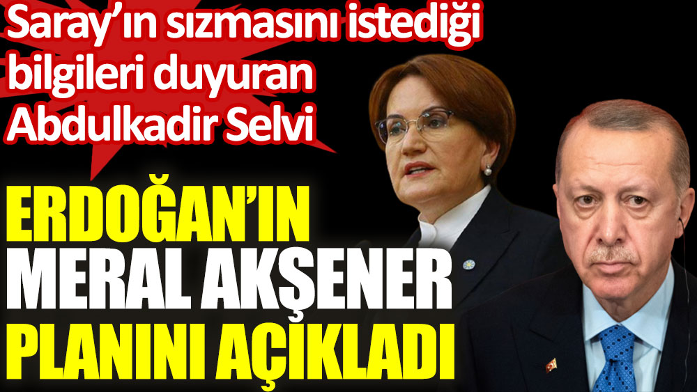 Abdulkadir Selvi Erdoğan'ın Meral Akşener planını açıkladı