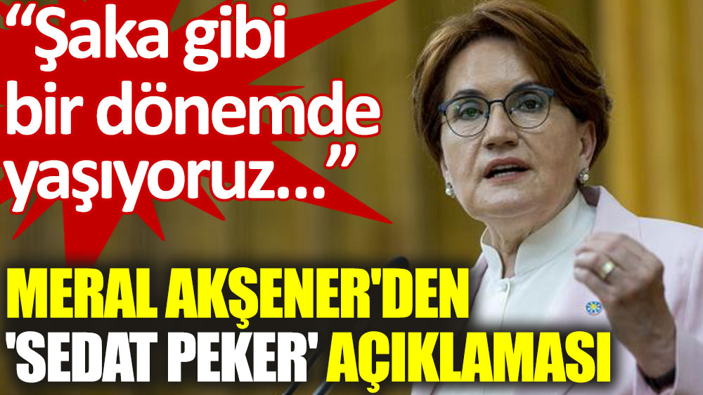 Meral Akşener'den 'Sedat Peker' açıklaması