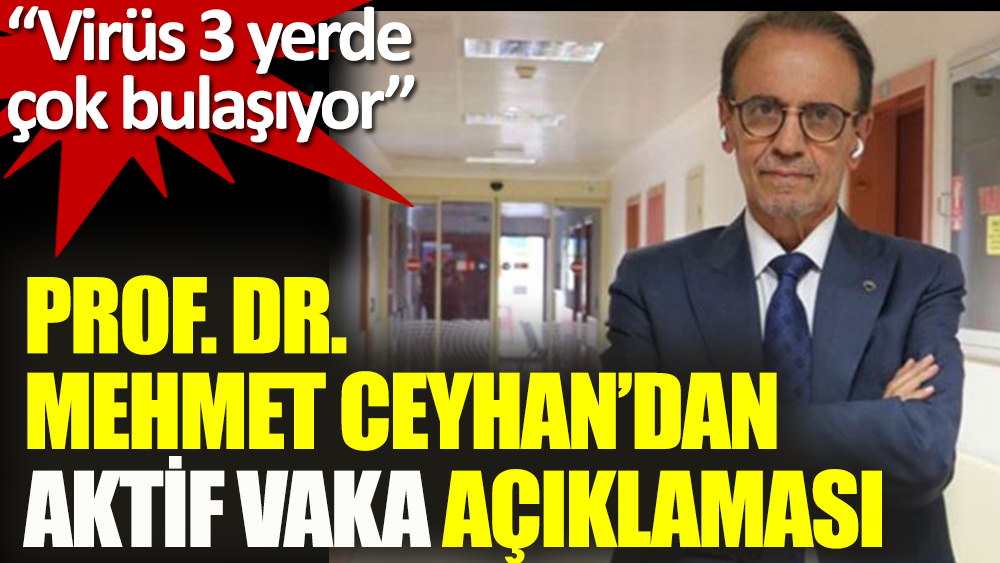Prof. Dr. Mehmet Ceyhan’dan aktif vaka tahmini