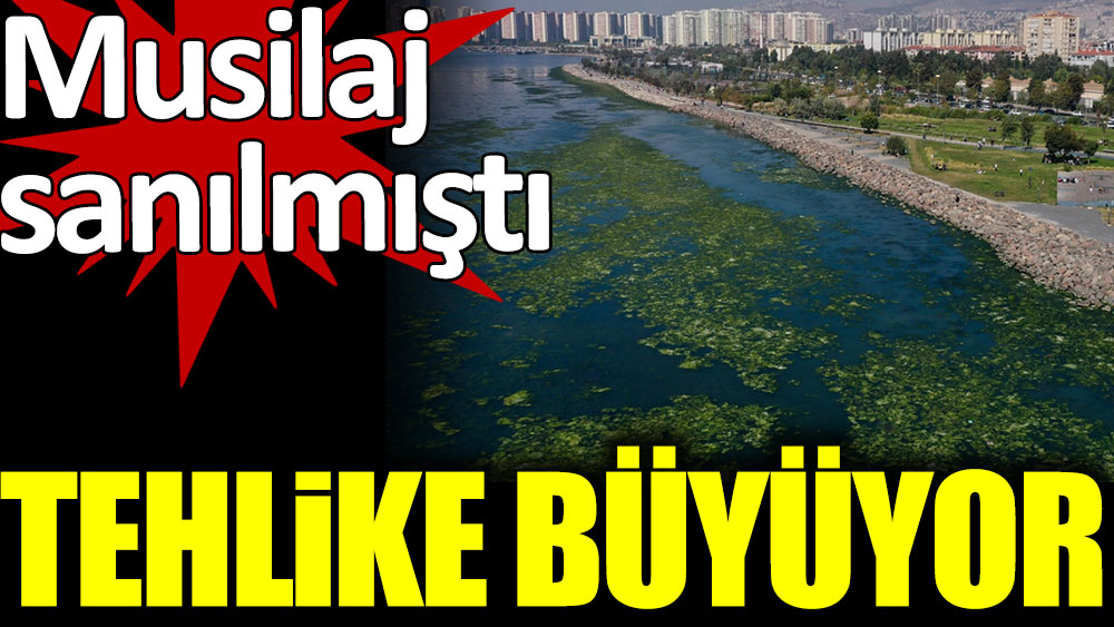 İzmir'de 'deniz marulu' paniği