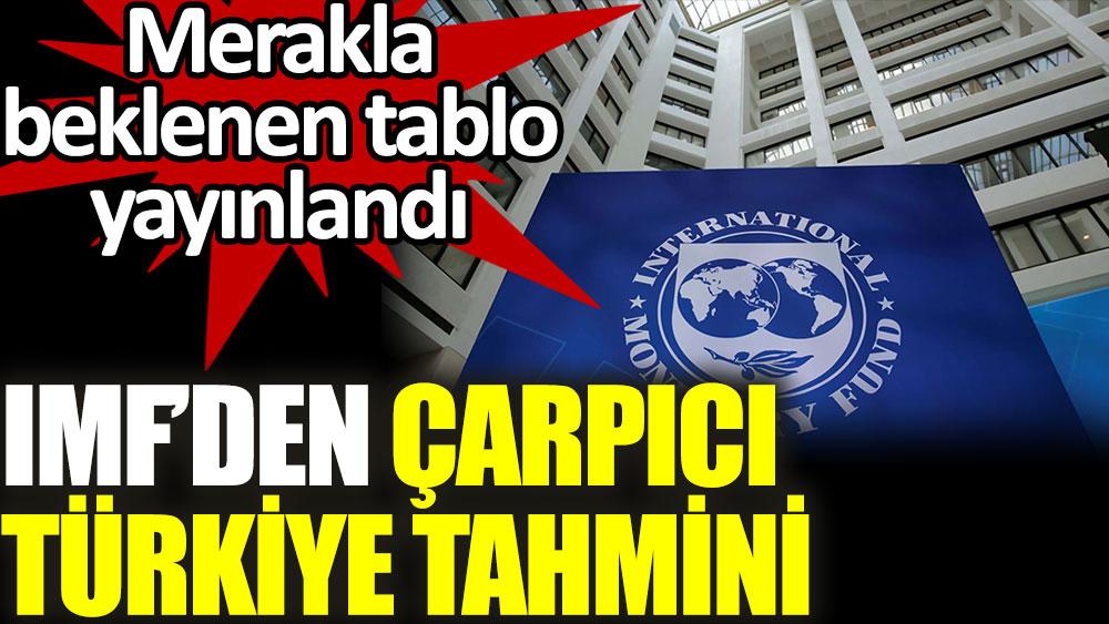IMF'den çarpıcı Türkiye tahmini