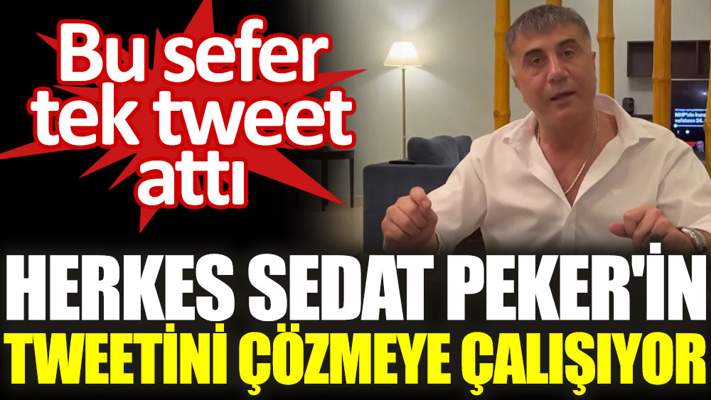 Herkes Sedat Peker'in tweetini çözmeye çalışıyor
