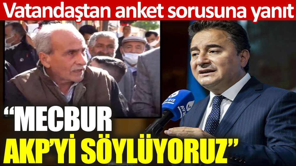 Vatandaştan Babacan'ın anket sorusuna yanıt: Mecbur AKP’yi söylüyoruz