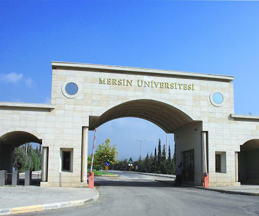 Mersin Üniversitesi 25 Öğretim Üyesi alıyor