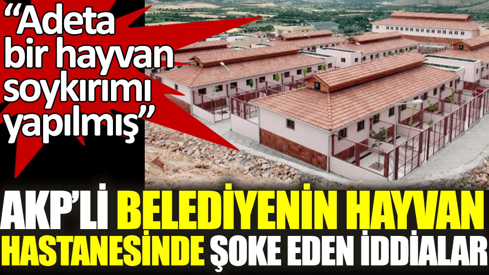 AKP'li belediyenin hayvan hastanesinde şoke eden iddialar. Adete hayvan soykırımı yapılmış
