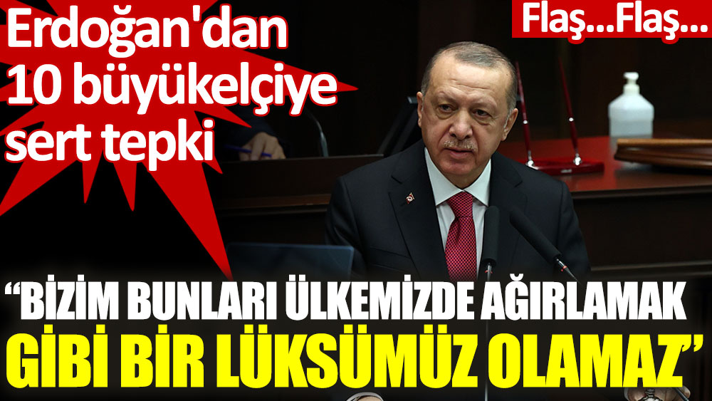 Erdoğan'dan 10 büyükelçiye tepki: Bizim bunları ülkemizde ağırlamak gibi bir lüksümüz olamaz