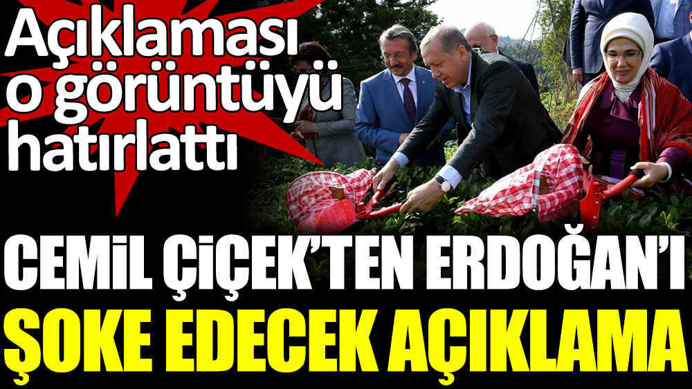 Cemil Çiçek'ten, Erdoğan'ı şoke edecek açıklama