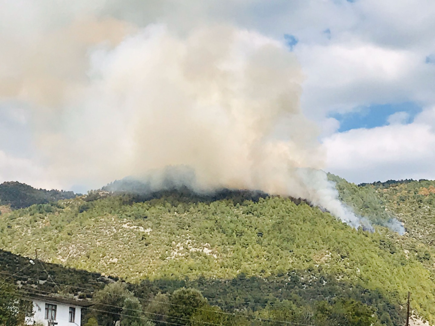 Manavgat'ta orman yangını