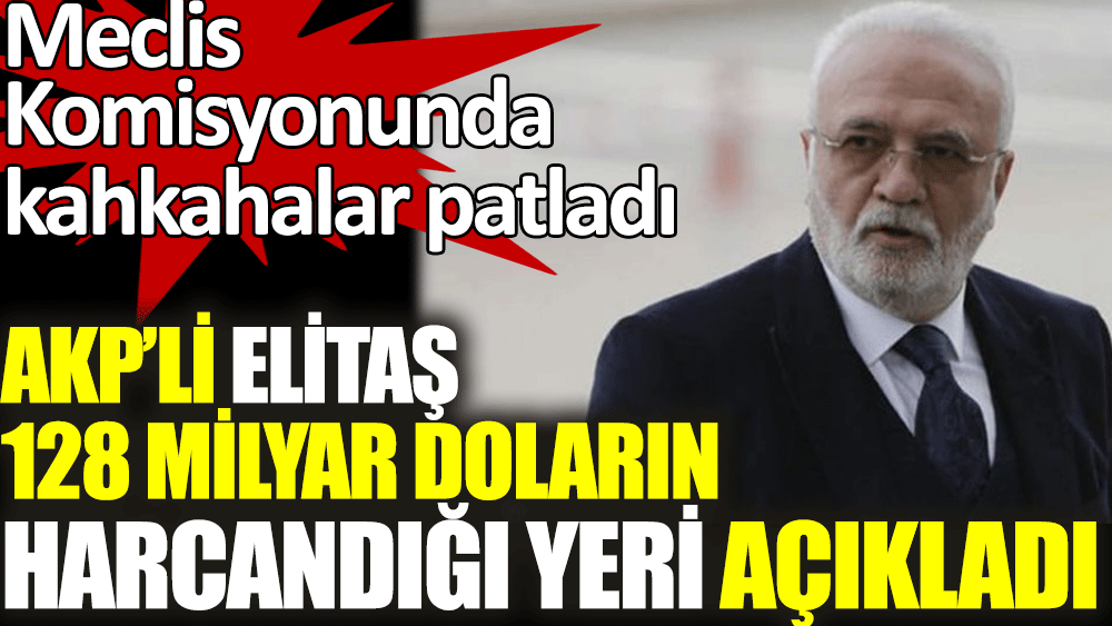 AKP’li Mustafa Elitaş 128 milyar doların harcandığı yeri açıkladı. Meclis Komisyonunda kahkahalar patladı