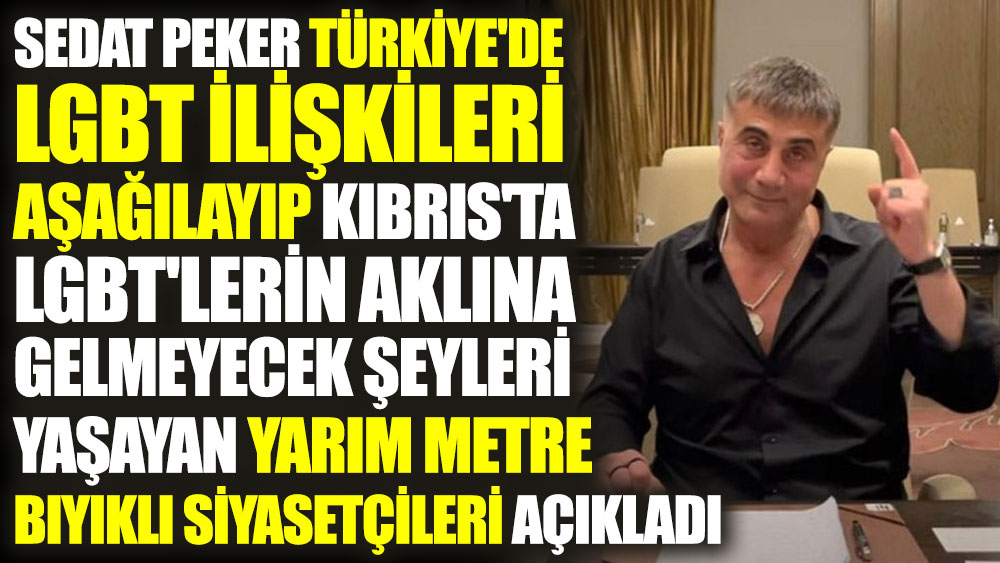 Sedat Peker Türkiye'de LGBT ilişkileri aşağılayıp Kıbrıs'ta LGBT'lerin aklına gelmeyecek şeyleri yaşayan yarım metre bıyıklı siyasetçileri açıkladı