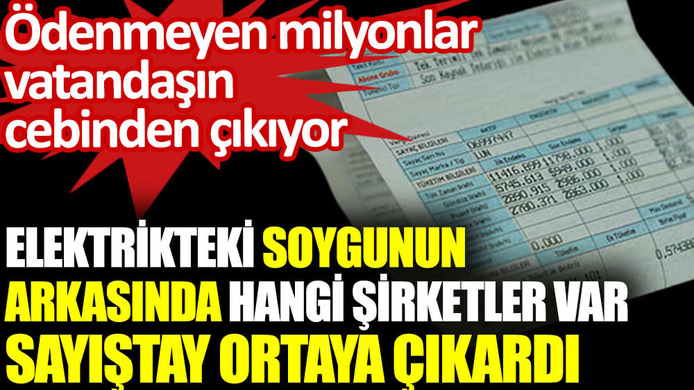 Elektrikteki soygunun arkasında hangi şirketler var Sayıştay ortaya çıkardı