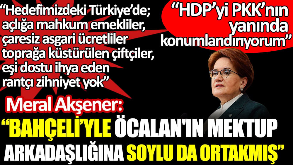 Meral Akşener'den flaş HDP açıklaması