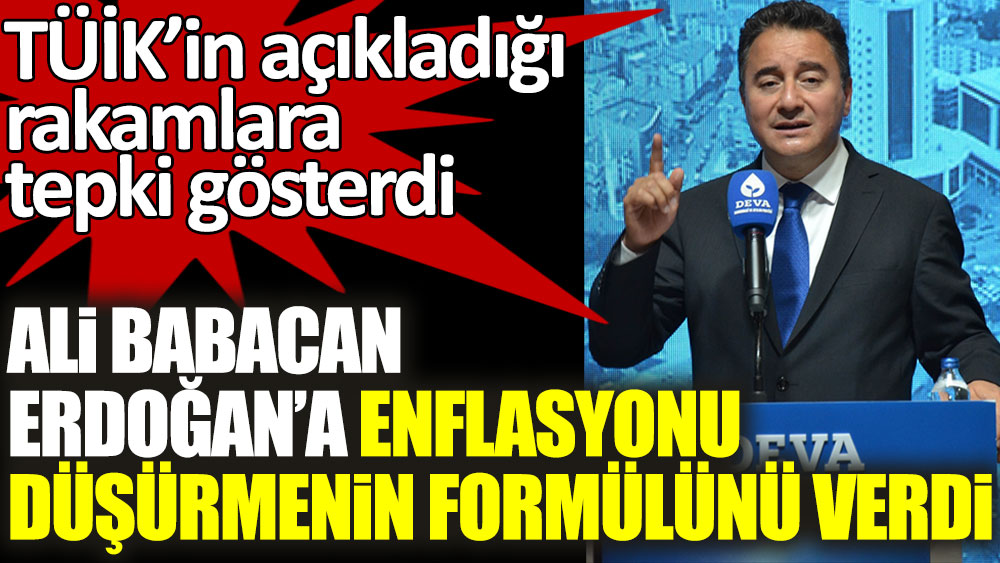 Ali Babacan Erdoğan'a enflasyonu düşürmenin formülü verdi! TÜİK’in açıkladığı rakamlara tepki gösterdi