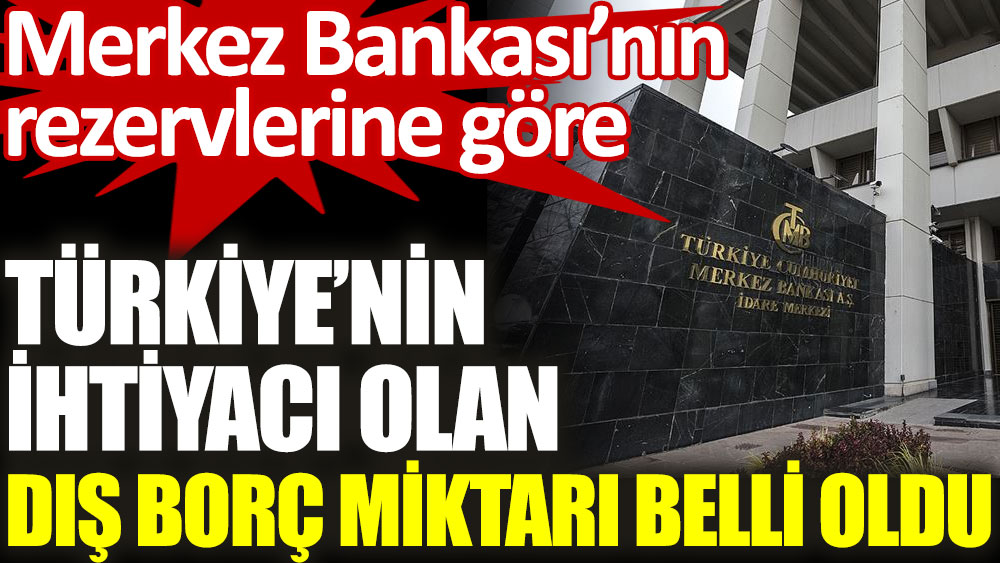 Türkiye’nin ihtiyacı olan dış borç miktarı belli oldu. Merkez Bankası'nın rezervlerine göre...