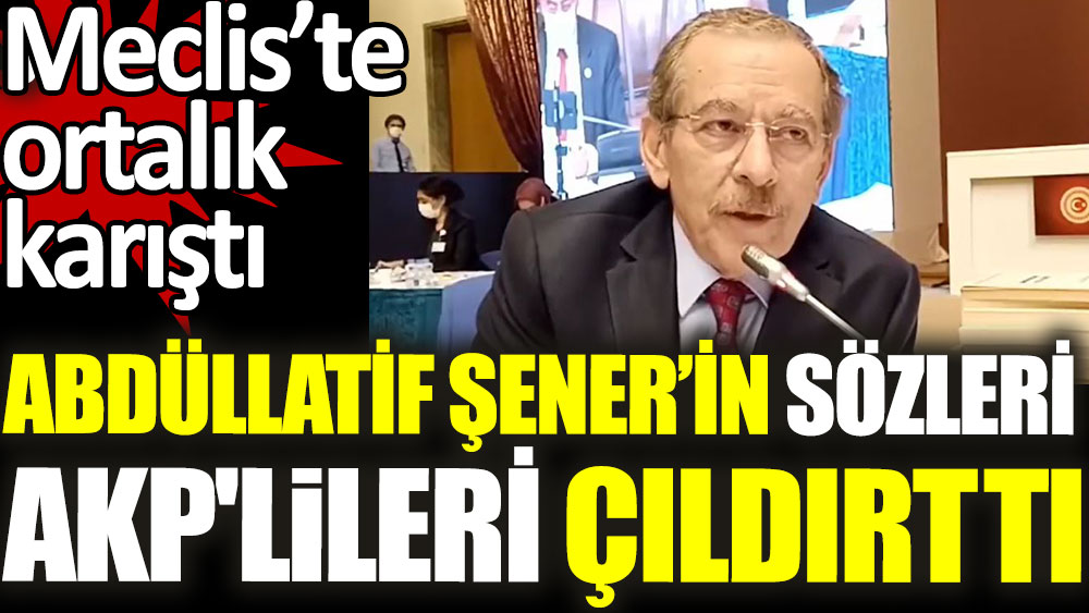Abdüllatif Şener'in sözleri AKP'lileri çıldırttı