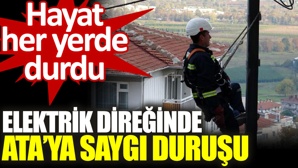 Elektrik direğinin tepesinde Atatürk'e saygı duruşu