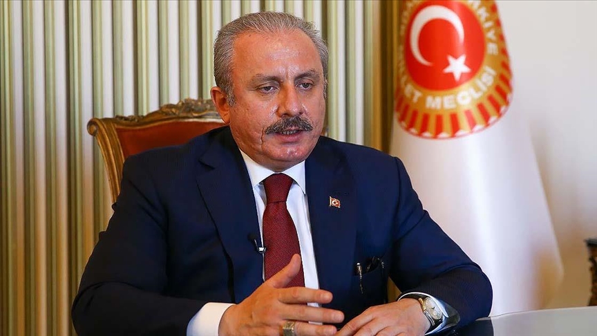 Meclis Başkanı Şentop'tan Ahıska Türkleri mesajı