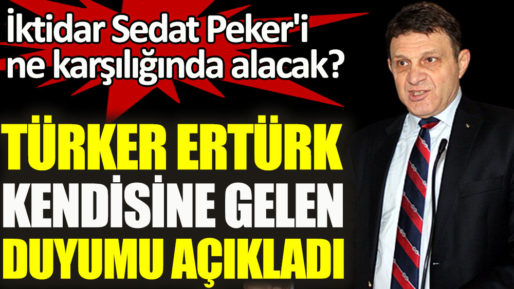 İktidar Sedat Peker'i ne karşılığında alacak? Türker Ertürk kendisine gelen duyumu açıkladı