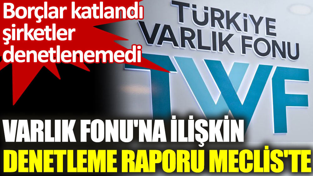 Varlık Fonu'na ilişkin denetleme raporu Meclis'te