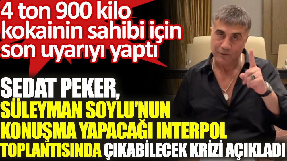 Sedat Peker, Süleyman Soylu'nun konuşma yapacağı Interpol toplantısında çıkabilecek krizi açıkladı