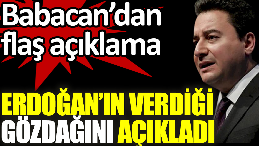 Ali Babacan, Erdoğan'ın verdiği gözdağını açıkladı
