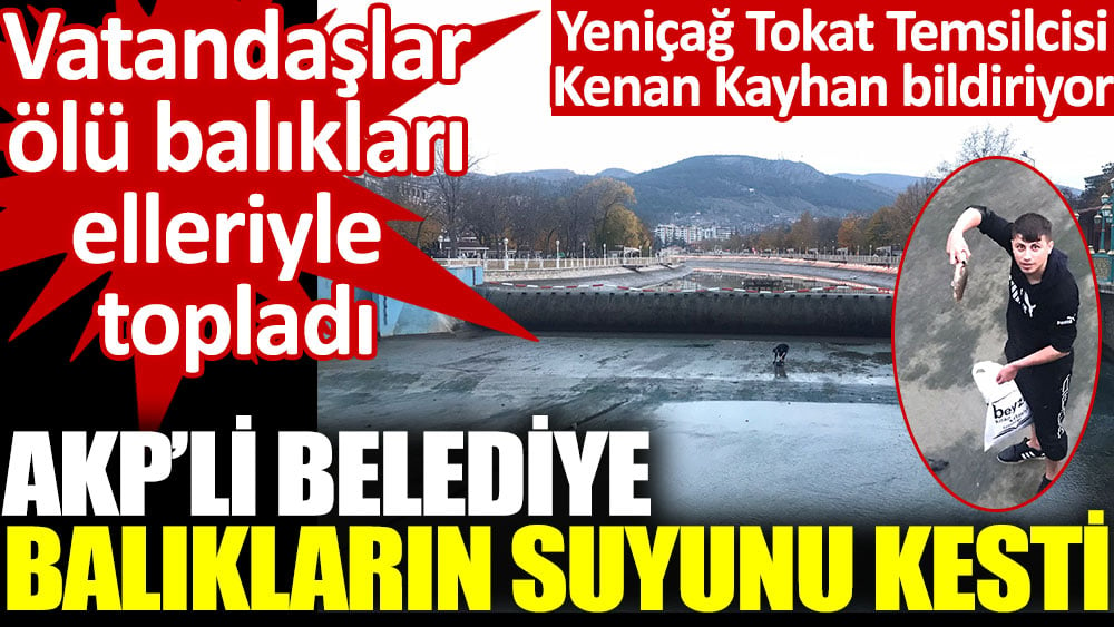 AKP'li belediye balıkların suyunu kesti