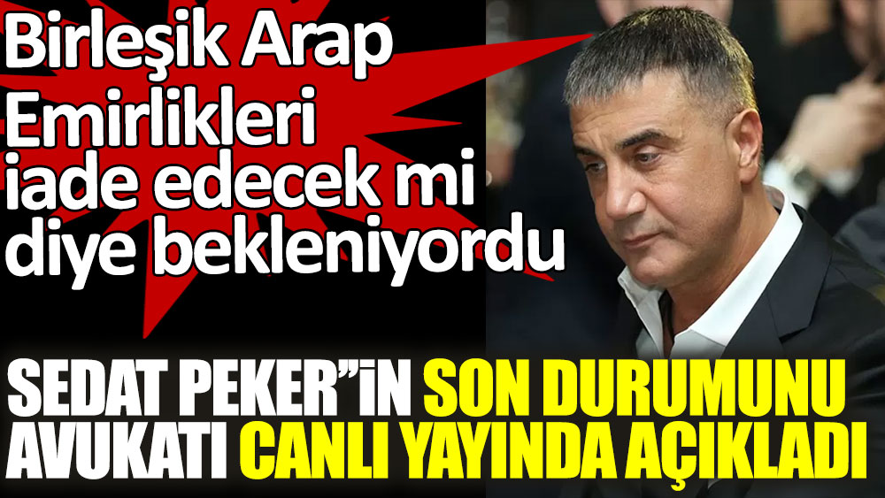 Sedat Peker'in son durumunu avukatı Ersan Barkın canlı yayında açıkladı! BAE iade edecek mi diye bekleniyordu
