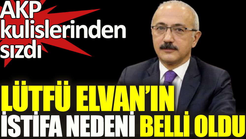 AKP kulisinde Lütfi Elvan'ın istifasının nedeni 'uyumsuzluk' gösteriliyor