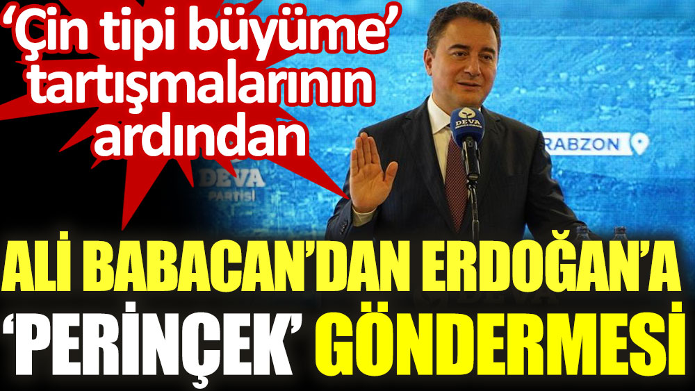 DEVA Partisi lideri Ali Babacan'dan Erdoğan'a Perinçek göndermesi