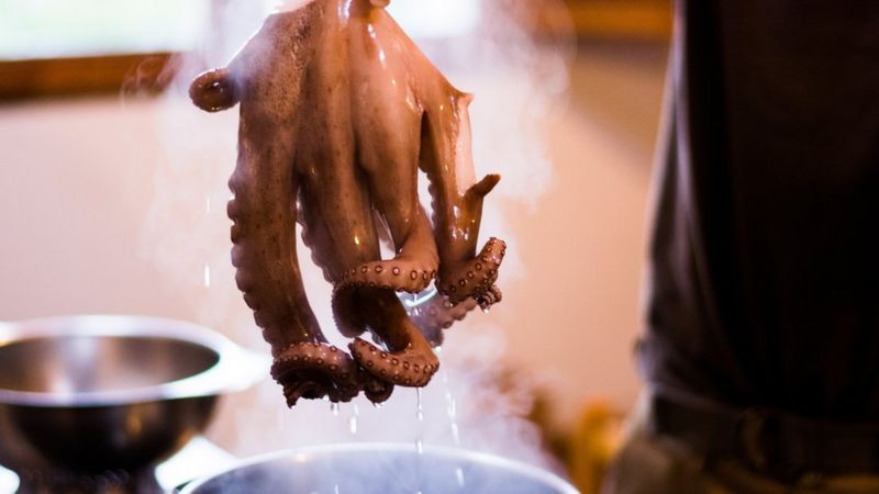 Hollanda'da hayvanların canlı canlı pişirilmesi yasaklanıyor