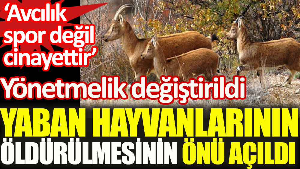 Resmi Gazete yayımlandı: 'Zararlı' adı altında yaban hayvanları öldürülecek