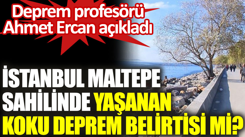 İstanbul Maltepe sahilinde yaşanan koku deprem belirtisi mi? Prof. Dr. Ahmet Ercan açıkladı