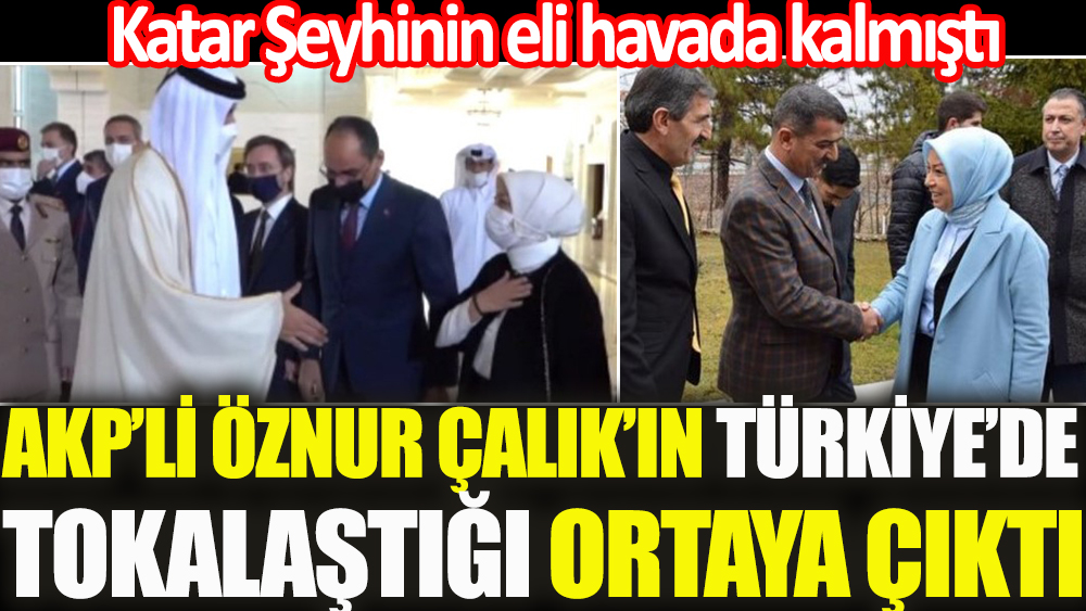 Katar Emiri Al Sani'nin eli havada bırakan AKP'li Çalık, Türkiye'de tokalaşıyor