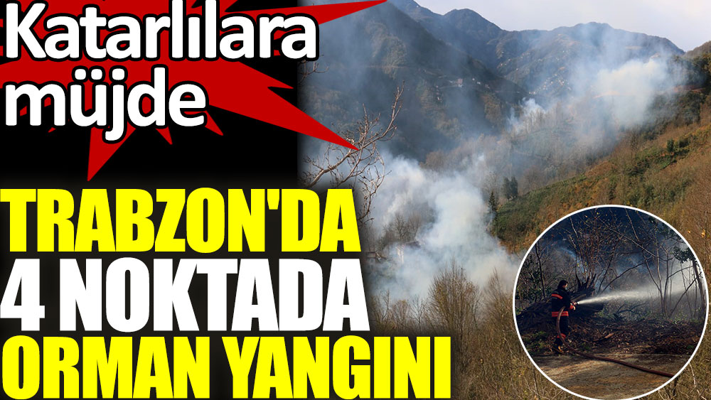 Trabzon'da 4 farklı noktada orman yangını. Katarlılara müjde